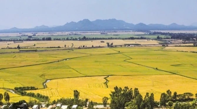 The Long Xuyen quadrangle of An Giang is the largest rice granary in the region and the country. This is an abundant source of raw materials for the province's biogas power generation in the future. Vùng tứ giác Long Xuyên An Giang là vựa lúa lớn nhất khu vực và cả nước. Đây là nguồn nguyên liệu dồi giàu cho việc sản xuất điện sinh khí của tỉnh trong tương lai.
