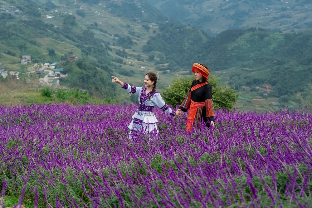 Fansipan šestkrát po sobě překonal rekord jako „Přední světová přírodní turistická destinace“