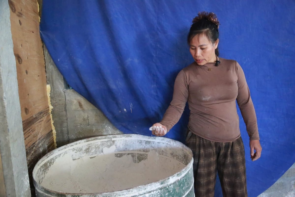 Uno degli ingredienti indispensabili nell'allevamento dei bachi da seta è la calce in polvere. Foto: Thanh Nga.