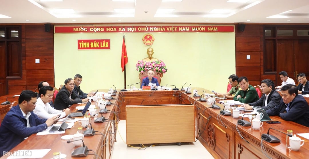 นายจวง กง ไท รองประธานคณะกรรมการประชาชนจังหวัด เป็นประธานการประชุม ณ สะพานจังหวัดดักลัก