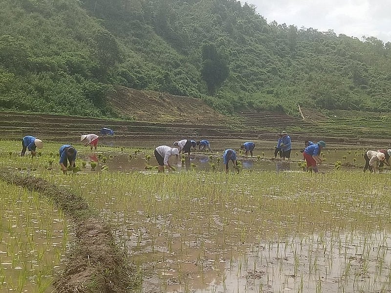 Muong Toong se rozzáří od prvních kroků Mường Toong bừng sáng từ những bước chân đầu tiên