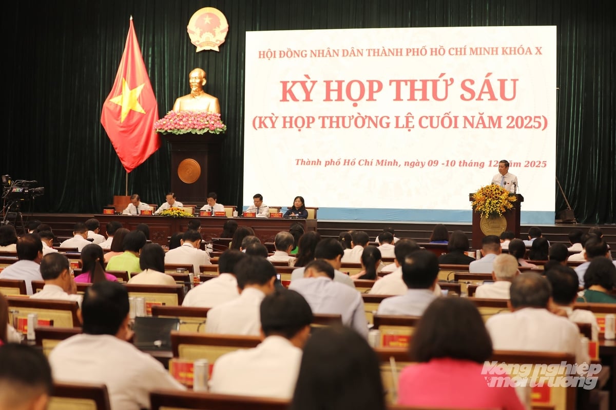 Народний комітет міста Хошимін подав на розгляд та затвердження 10-ї Народної ради міста Хошимін багато звітів, що стосуються галузей сільського господарства та навколишнього середовища. UBND TP.HCM trình HĐND TP.HCM khóa X xem xét thông qua nhiều tờ trình liên quan đến lĩnh vực nông nghiệp, môi trường.