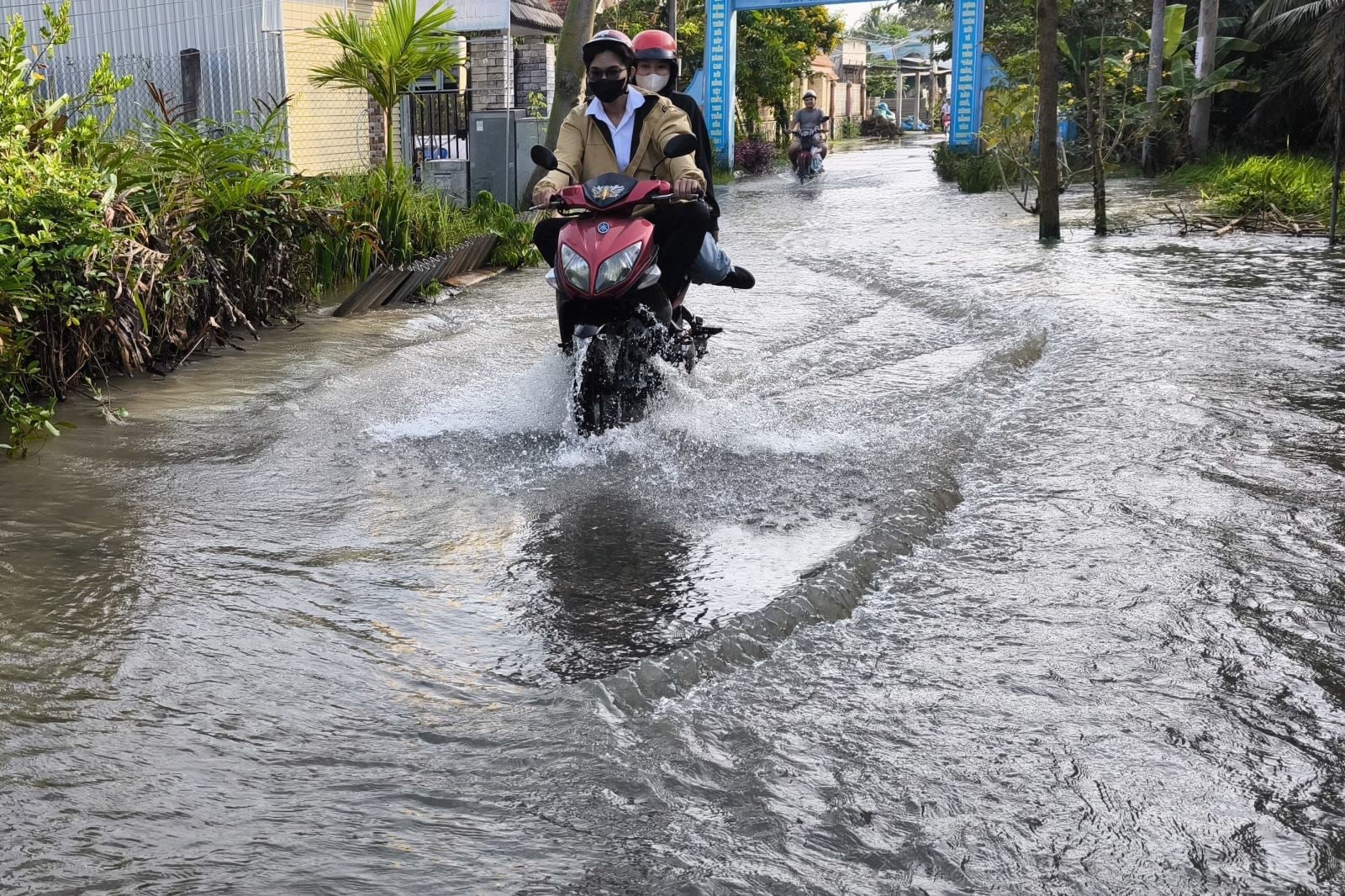 Λεζάντα φωτογραφίας