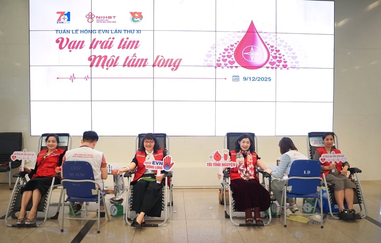 11-я Розовая неделя EVN: ответственность и обмен опытом - Фото 1. Tuần lễ hồng EVN lần thứ XI: trách nhiệm và sẻ chia- Ảnh 1.