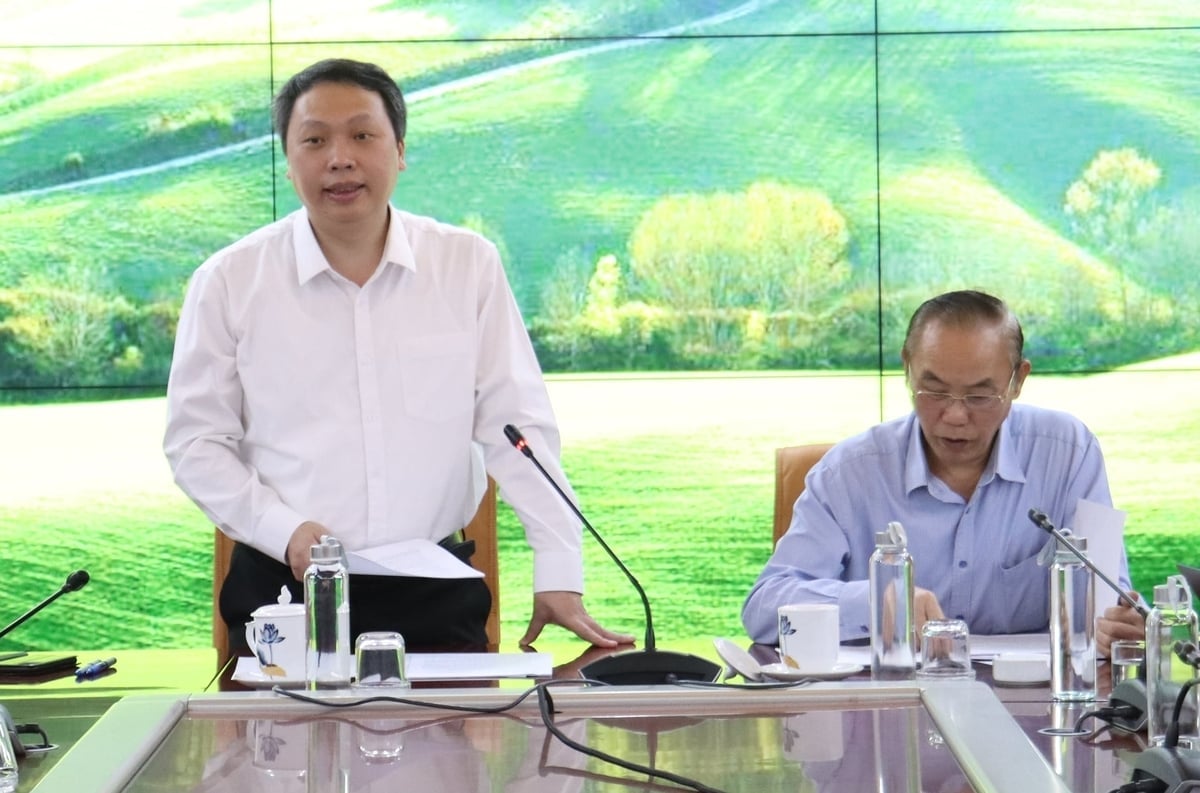 Tovarășul Nguyen Huy Dung - membru cu normă întreagă al Comitetului Director Central, șeful Grupului de lucru a vorbit la întâlnire. Foto: Nguyen Thuy. Đồng chí Nguyễn Huy Dũng - Ủy viên chuyên trách Ban chỉ đạo Trung ương, Tổ trưởng Tổ công tác phát biểu tại buổi làm việc. Ảnh: Nguyễn Thủy.