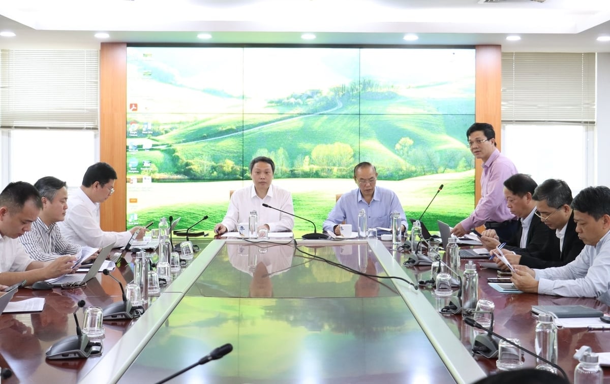Grupul de lucru interdisciplinar al Comitetului director central pentru știință, tehnologie, inovare și transformare digitală a colaborat cu Ministerul Agriculturii și Mediului. Foto: Nguyen Thuy. Tổ công tác liên ngành của Ban Chỉ đạo Trung ương về phát triển khoa học, công nghệ, đổi mới sáng tạo và chuyển đổi số làm việc với Bộ Nông nghiệp và Môi trường. Ảnh: Nguyễn Thủy.