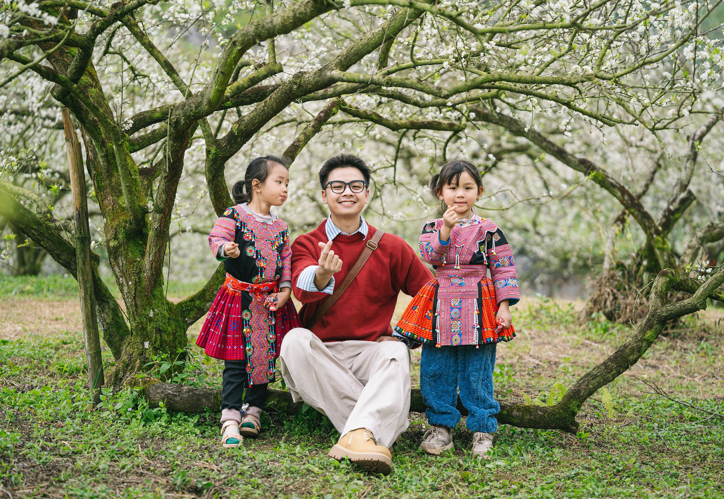 Сливові квіти розквітають рано на плато Мок Чау -5