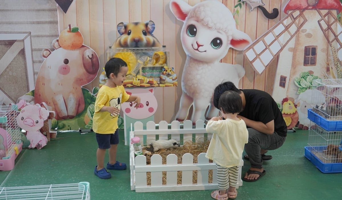 Dezvoltarea agriculturii urbane ajută în mod eficient orașul Ho Chi Minh să deschidă multe noi căi și să se conecteze cu piețele. Foto: Le Binh. Phát triển hiệu quả nông nghiệp đô thị giúp TP.HCM mở ra được nhiều hướng đi mới và kết nối thị trường. Ảnh: Lê Bình.