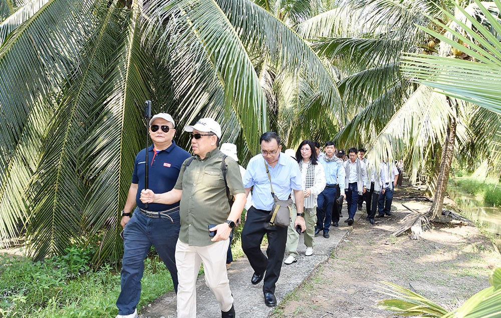 2025 میں ناریل کی صنعت کی کل پیداواری قیمت کا تخمینہ 4,180 بلین VND ہے۔