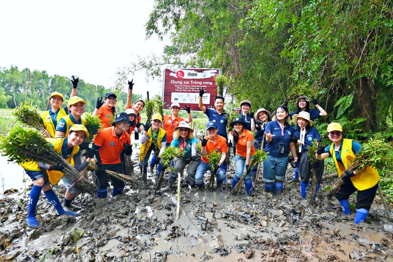 Under de sista tre månaderna 2025 samarbetade många organisationer och individer med Gaia för att plantera träd över hela Vietnam. Källa: Gaia.
