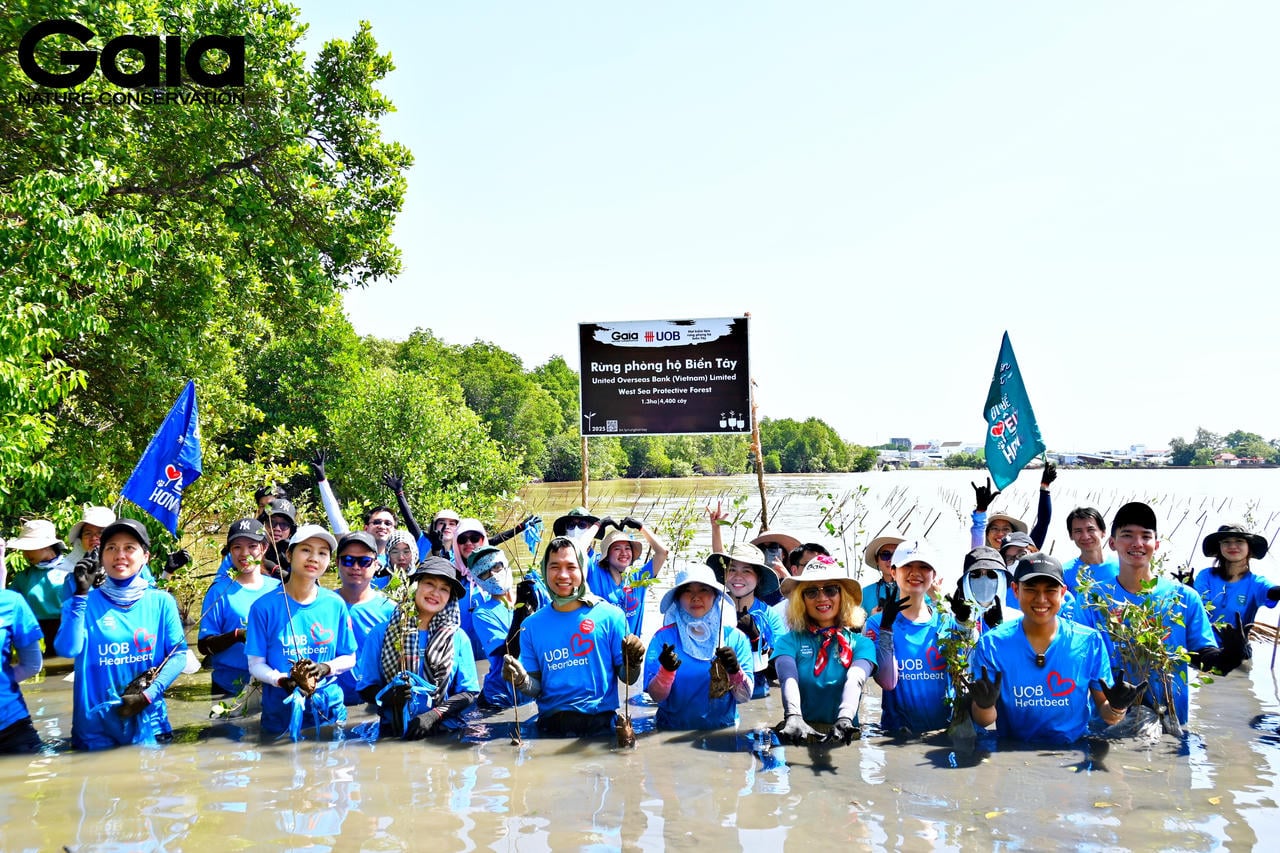I november 2025 kommer Gaia att börja plantera skog längs den västra havsvallen för att mildra effekterna av stormar, erosion orsakad av vågor och klimatförändringar. Källa: Gaia.
