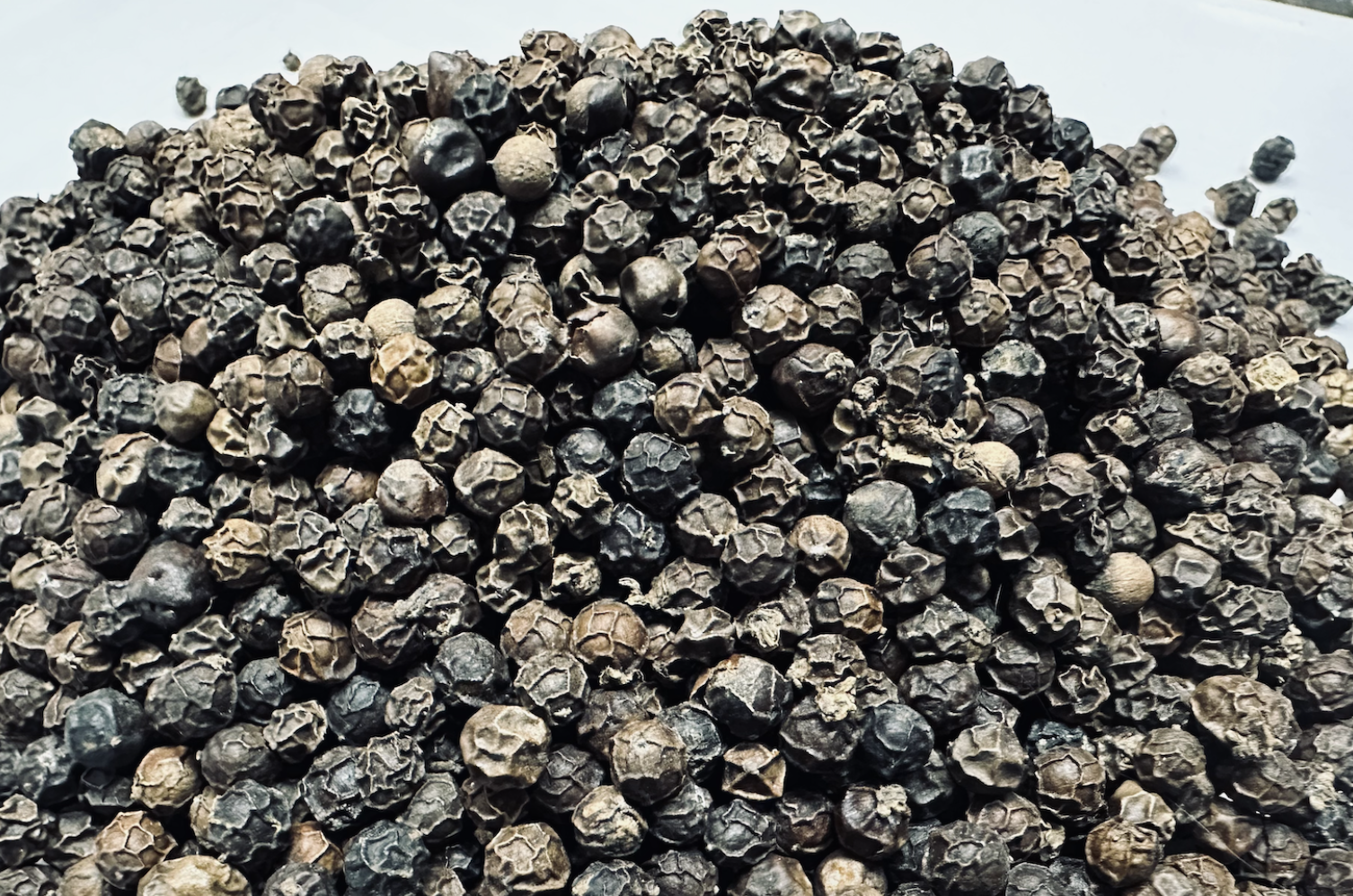 ພາບໜ້າຈໍ 2025-12-10 ເວລາ 06.51.58.png