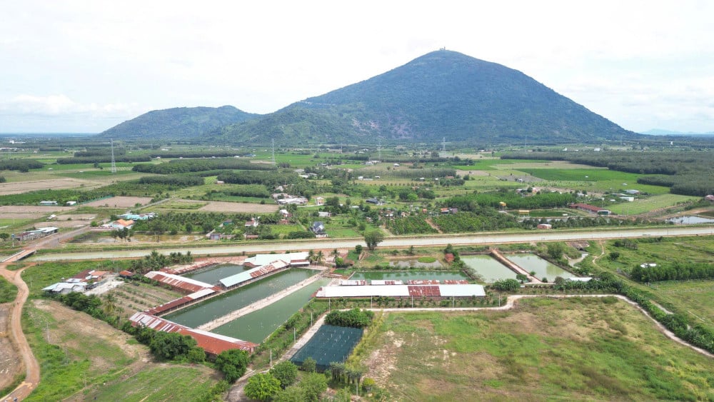 Розробка сировинних районів, що відповідають стандартам GAP.