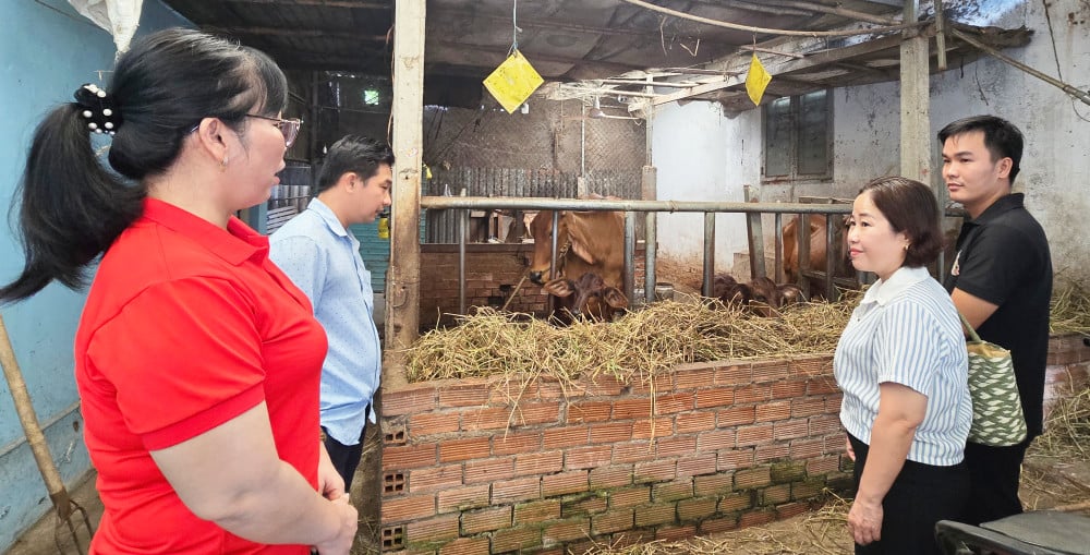 Πρόσβαση σε πληροφορίες για βιώσιμη μείωση της φτώχειας