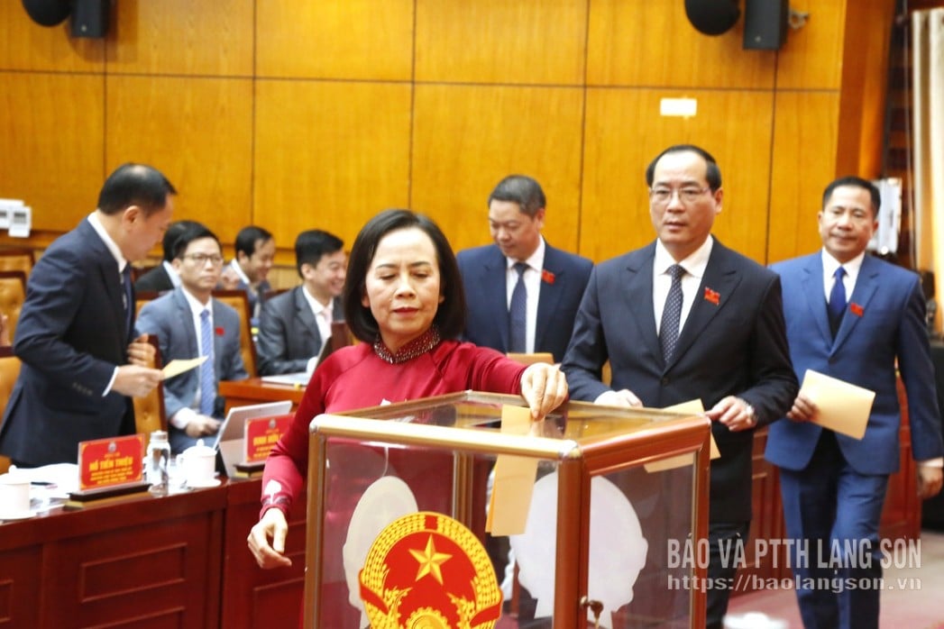 Делегати проголосували за обрання членів Провінційного народного комітету на 17-й термін, 2021-2026 роки.