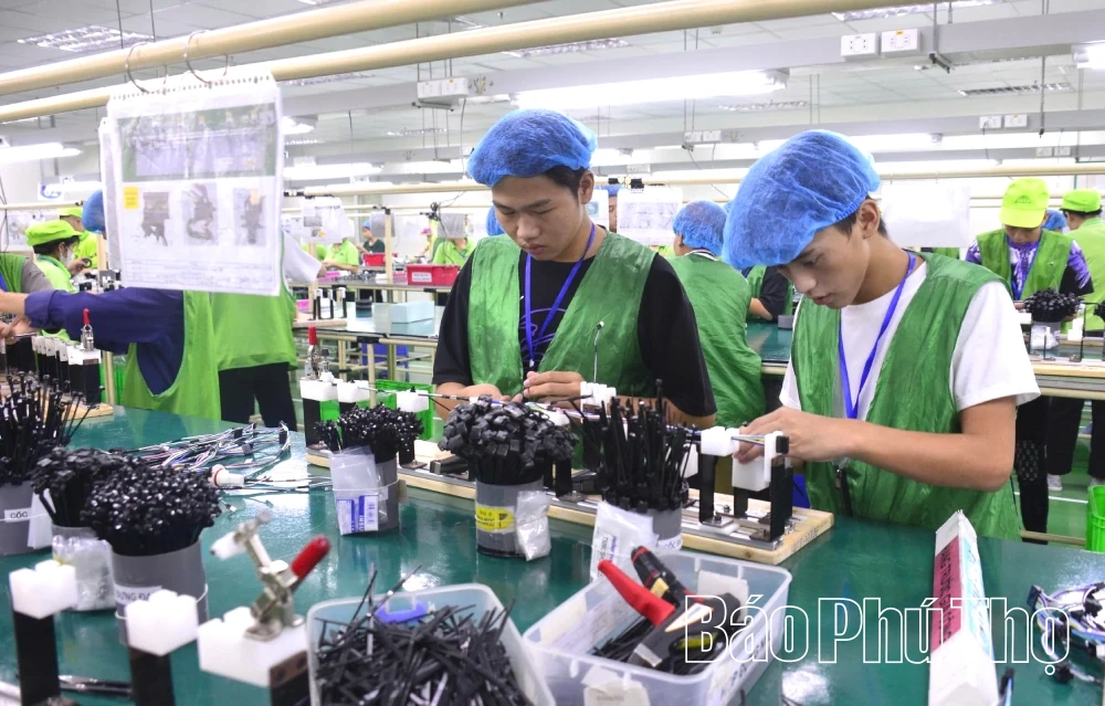 Промисловість і послуги вражаюче зростають