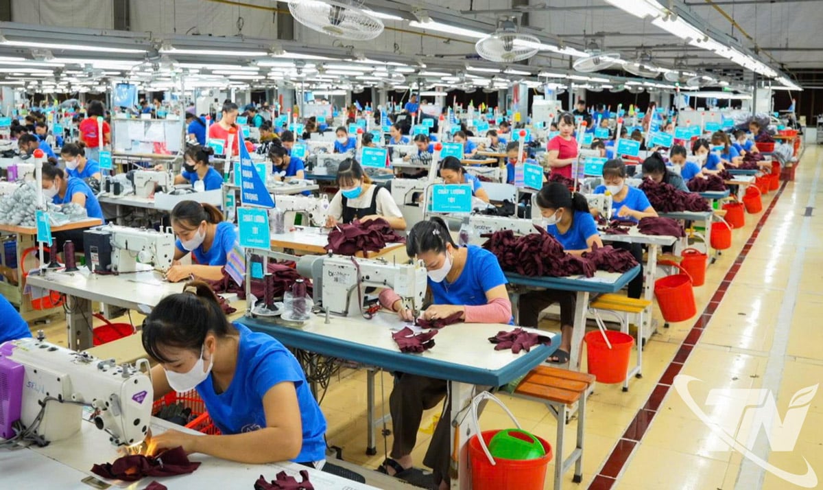 Tegen 2025 zal TNG Investment and Trading Joint Stock Company stabiele werkgelegenheid bieden aan bijna 19.700 werknemers, een stijging van ongeveer 10% ten opzichte van 2024.