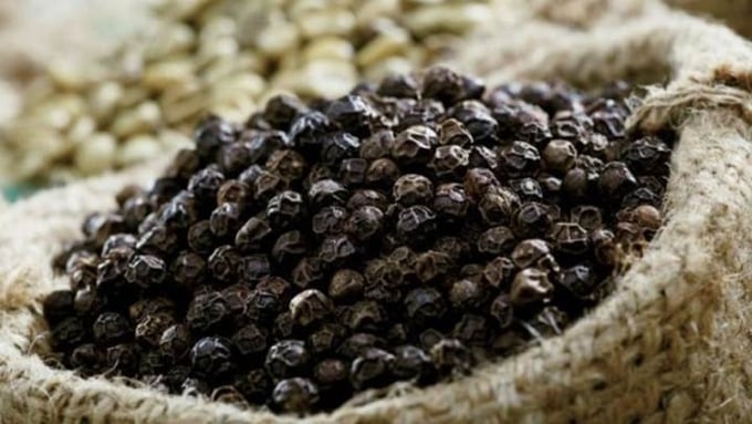 Giá tiêu hôm nay 10/12/2025 ở trong nước và thế giới mới nhất