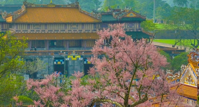 Huế đẩy mạnh bảo tồn di sản và phát triển công nghiệp văn hóa trong năm 2026 - Ảnh 1.