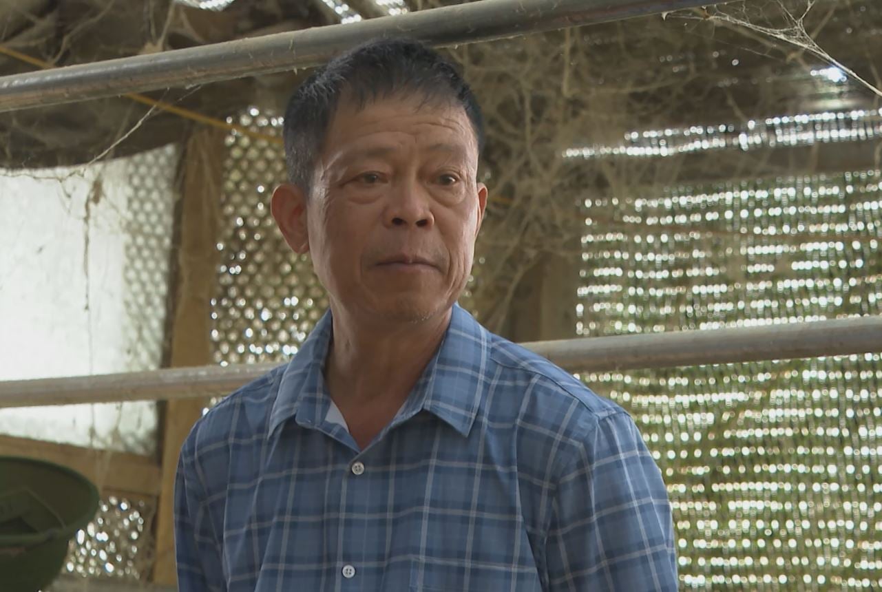 El Sr. Nguyen Quoc Son fue pionero en el desarrollo de la raza de pollos Lac Thuy Hoa Binh. Foto: Duc Binh. Ông Nguyễn Quốc Sơn đã tiên phong phát triển giống gà Lạc Thủy Hòa Bình. Ảnh: Đức Bình.