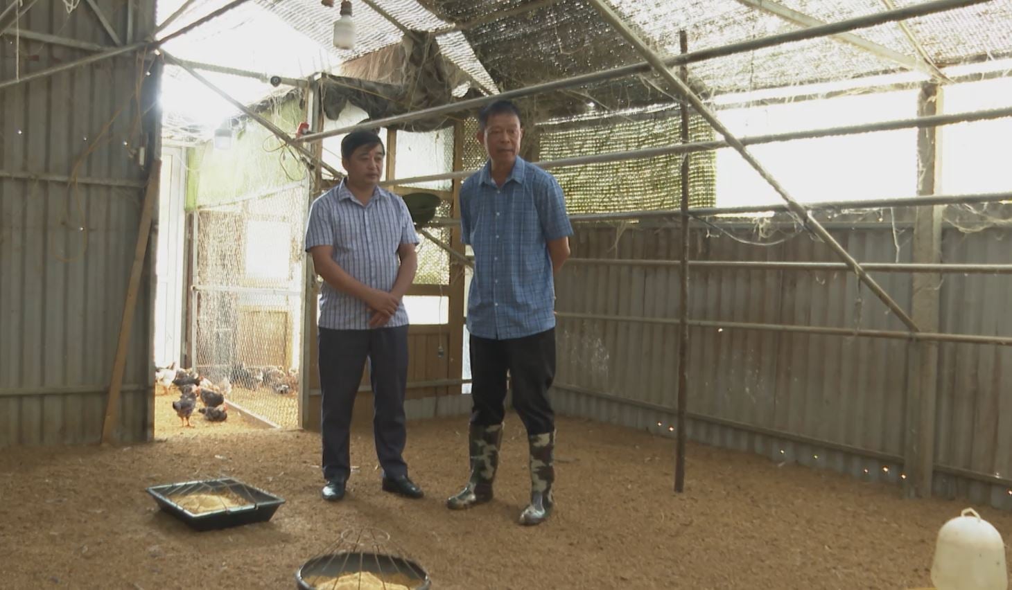 Funcionarios de la comuna visitaron la granja de pollos del Sr. Son. Foto: Duc Binh. Cán bộ xã đến thăm trang trại chăn nuôi gà của ông Sơn. Ảnh: Đức Bình.