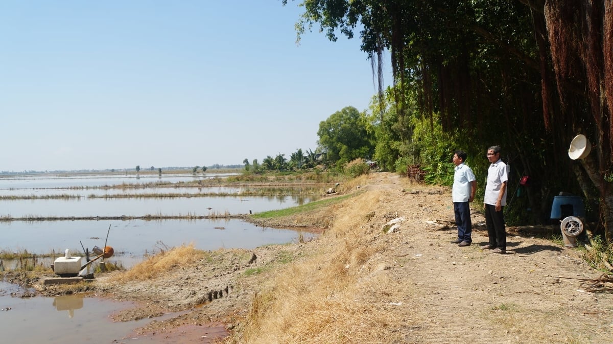 Ông Giới (bìa trái) thăm tuyến đê bao cánh đồng bờ Nam kênh Hậu. Ảnh: Trần Trung.