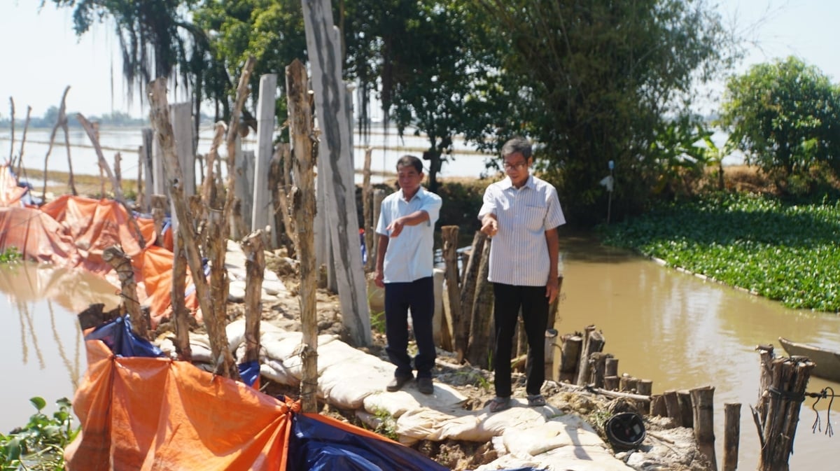 Người dân mong muốn nhà nước đầu tư xây dựng trạm bơm điện kết hợp cống điều tiết lũ tại 2 vị trí cống tạm để bảo vệ cánh đồng trong giai đoạn tới. Ảnh: Trần Trung.