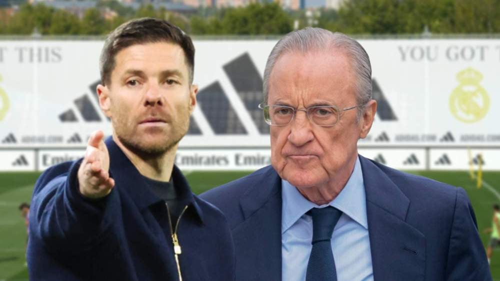 샤비 알론 데펜사 4.jpeg