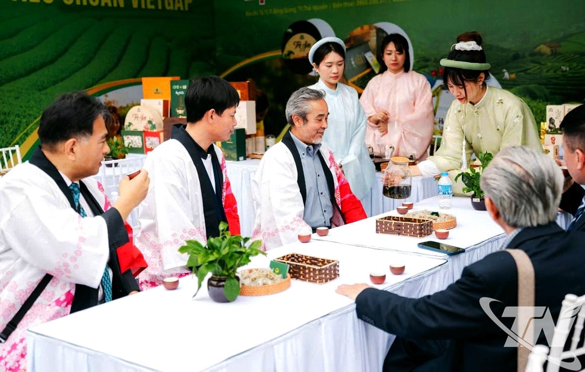 흐엉 반 트라 협동조합은 2025년 하이퐁시에서 열리는 벚꽃 축제에서 일본 관광객에게 타이 응우옌 차의 맛을 선보였습니다.