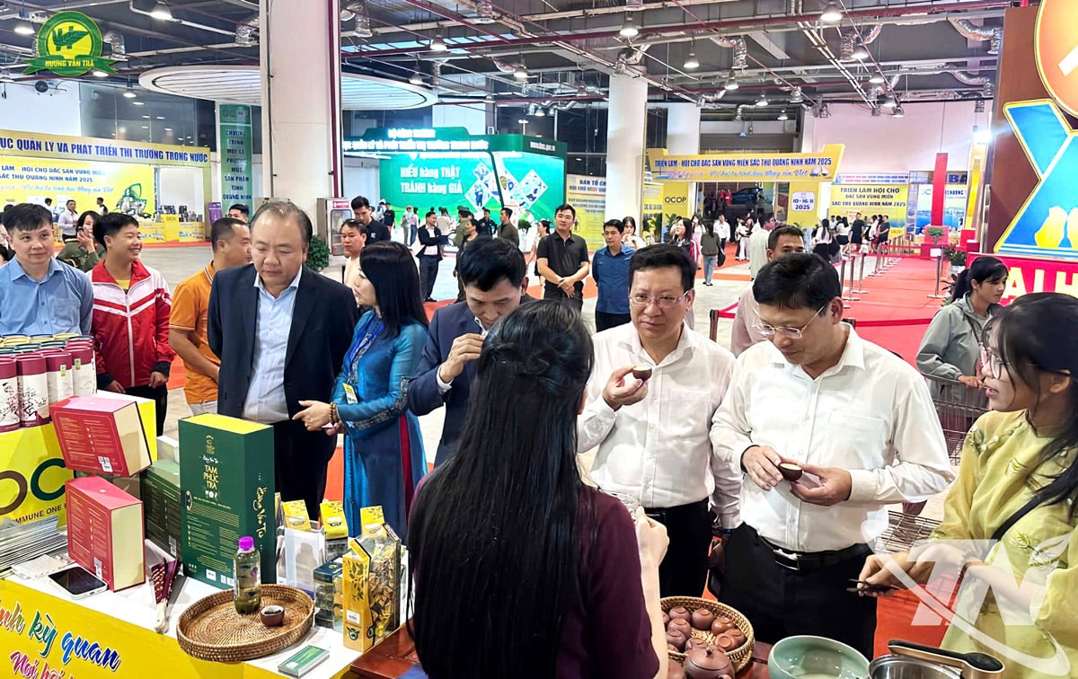 2025년 꽝닌 가을 단풍 박람회에서 타이 응우옌 차를 전시하고 즐길 수 있는 공간.