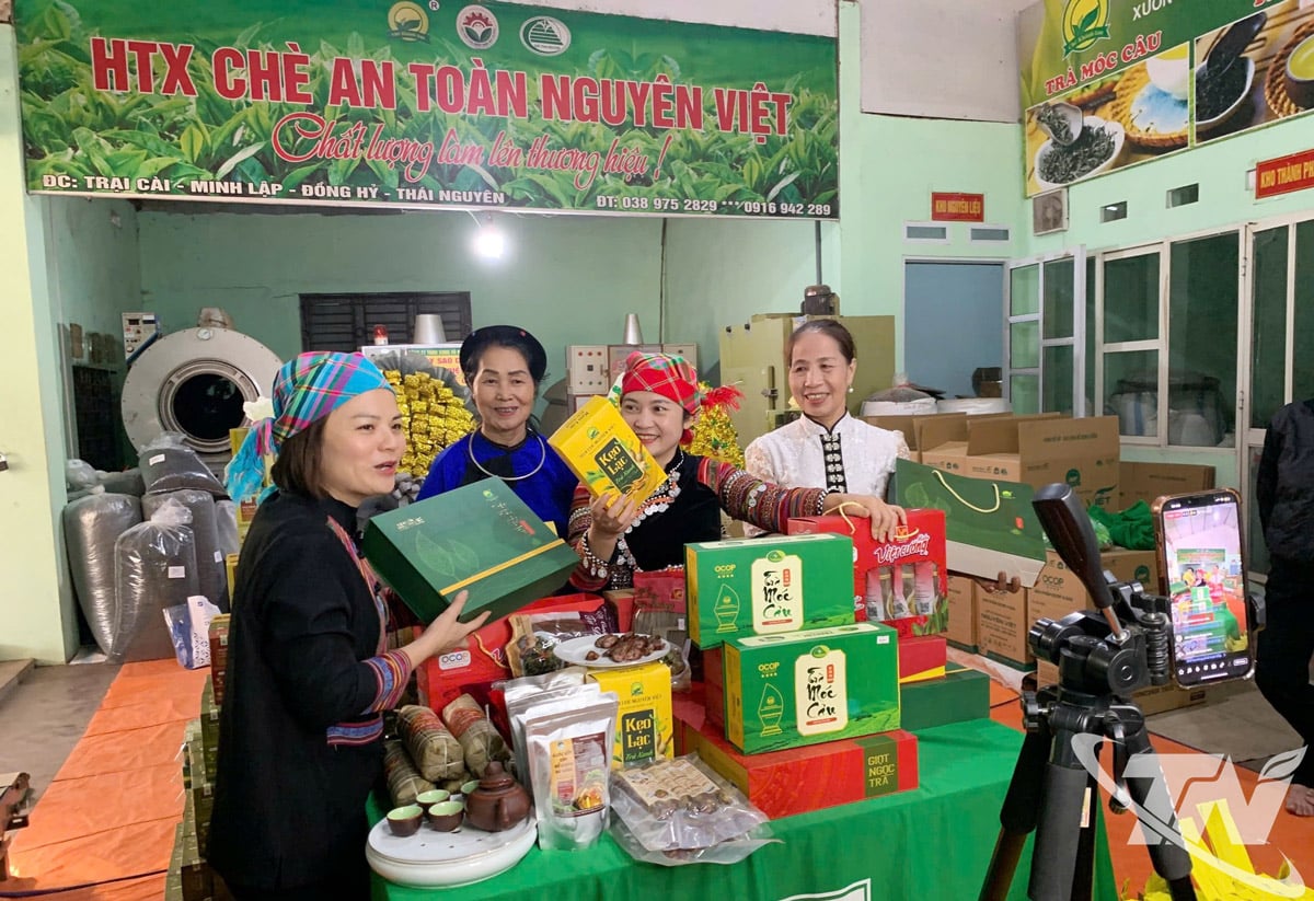 라이브 스트리밍 판매는 차 제품을 널리 소개하고 효과적으로 소비시키는 방법 중 하나입니다.