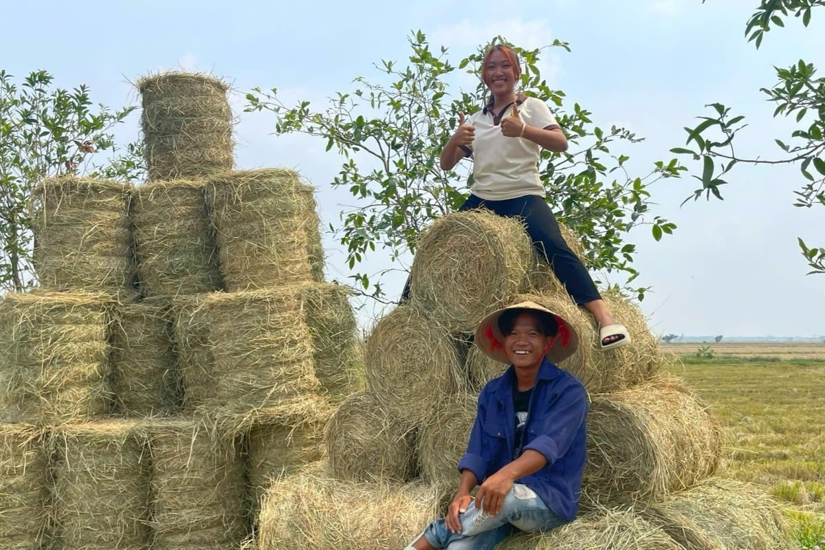 होआंग हाओ पारिस्थितिक उद्यान में पर्यटकों का अनुभव। फोटो: किम अन्ह। Du khách trải nghiệm tại vườn sinh thái Hoàng Hảo. Ảnh: Kim Anh.