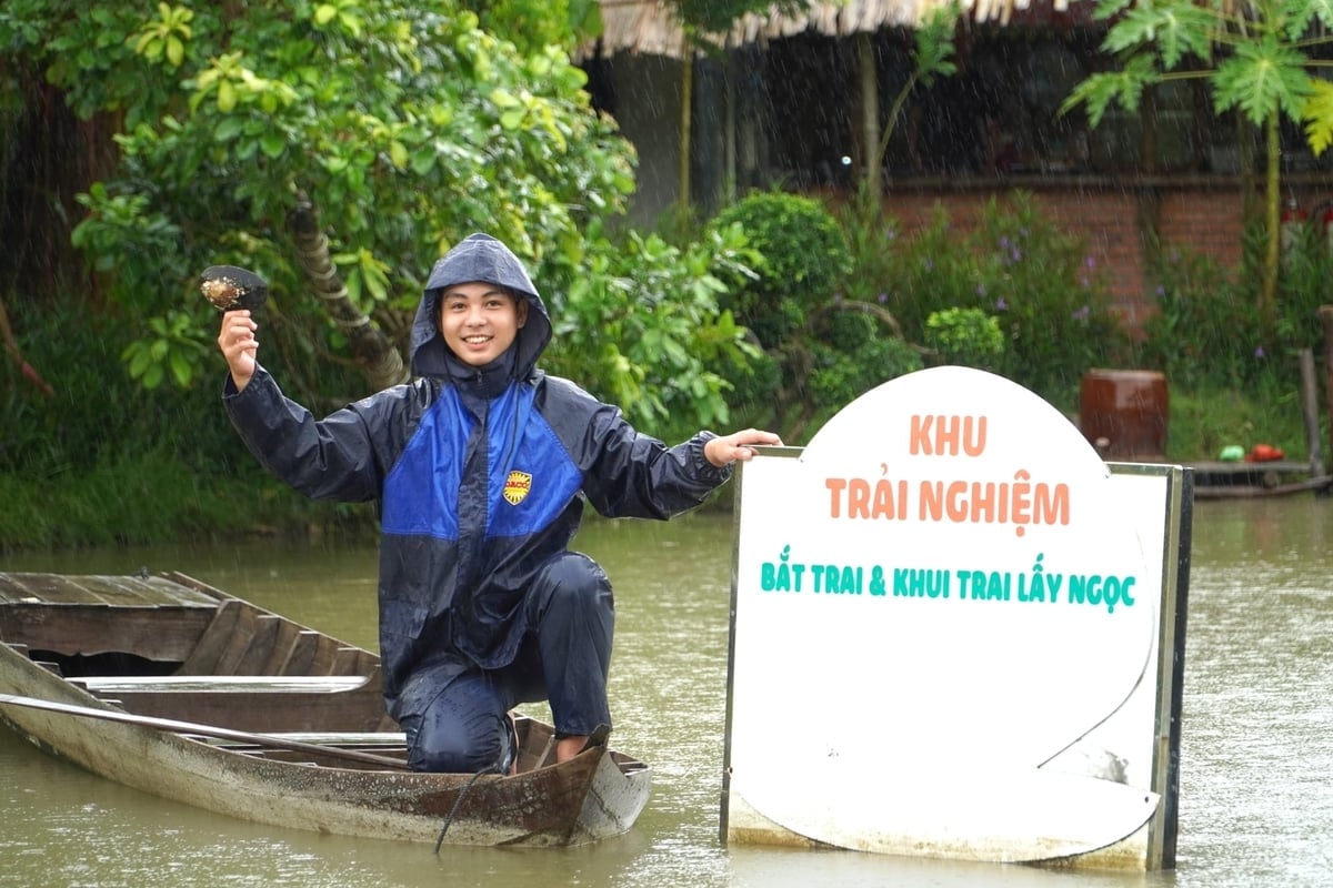 पर्यटक प्राकृतिक सीप को पकड़ने और गोद लेने के अनुभव का आनंद लेते हैं। फोटो: किम अन्ह। Du khách thích thú khi được trải nghiệm bắt con trai nuôi tự nhiên. Ảnh: Kim Anh.
