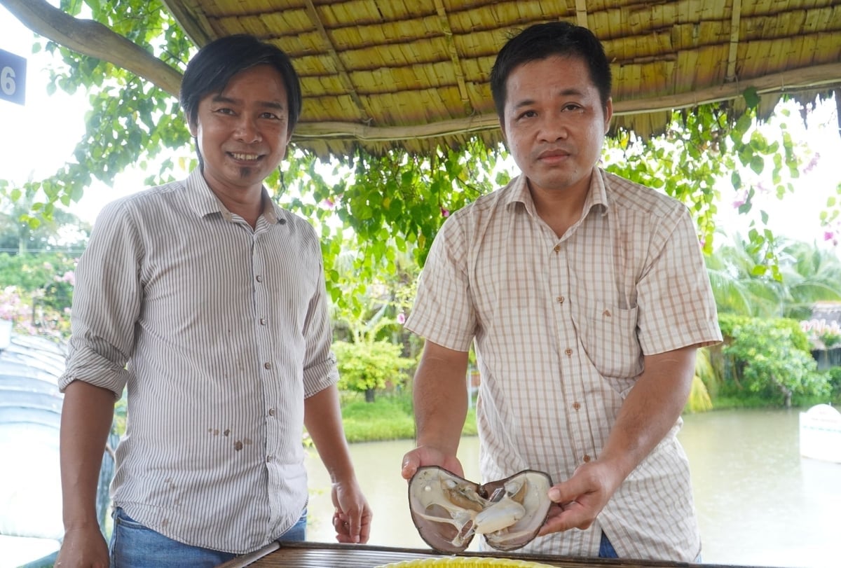 श्री गुयेन होआंग हाओ (बाएं) और पर्यटक क्लैम को अलग करने का अनुभव कर रहे हैं। फोटो: किम अन्ह। Anh Nguyễn Hoàng Hảo (trái) cùng du khách trải nghiệm tách trai. Ảnh: Kim Anh.