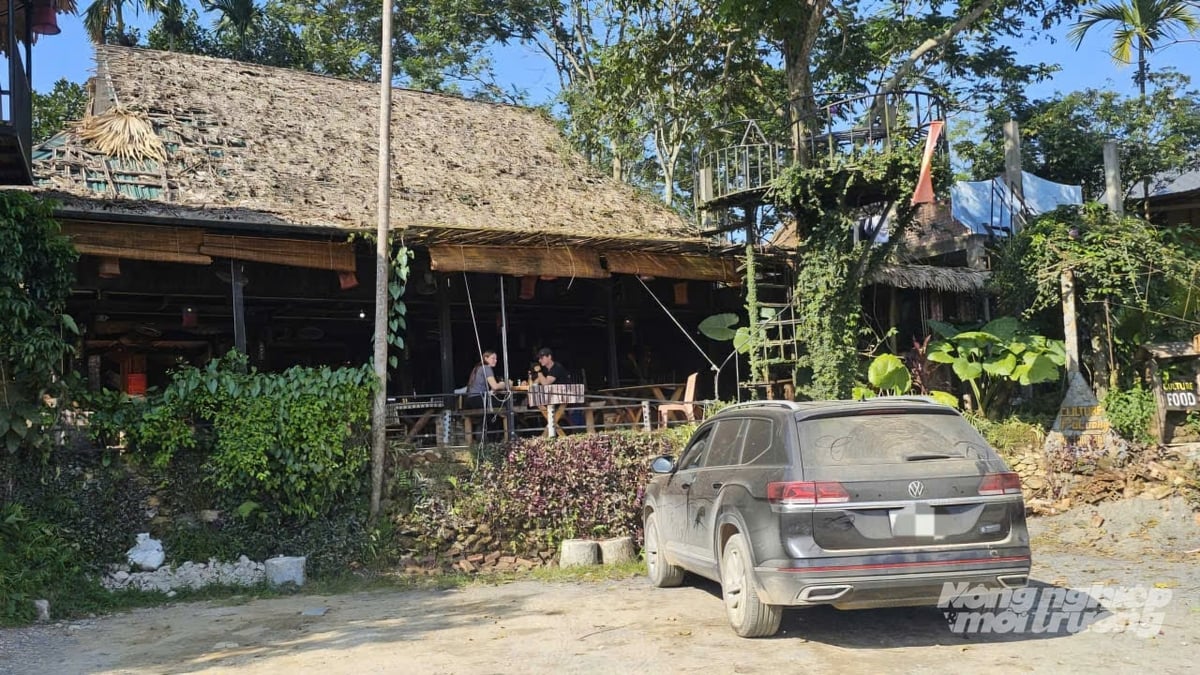 Homestay của Tim đón hàng chục lượt khách mỗi ngày. Ảnh: Quốc Toản.