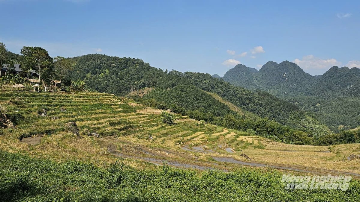 Pù Luông thu hút du khách nhờ phong cảnh thiên nhiên hoang sơ và những thửa ruộng bậc thang bám theo sườn núi. Ảnh: Quốc Toản.