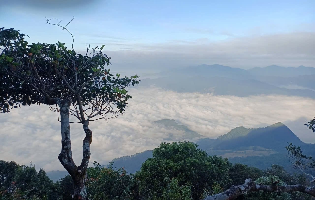 Pù Luông nhìn từ trên cao. Ảnh: Ban quản lý Khu bảo tồn thiên nhiên Pù Luông cung cấp.