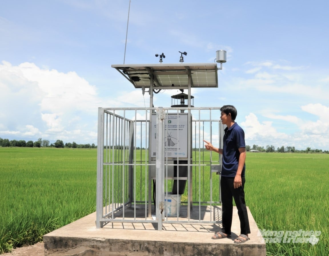 Розумну систему моніторингу шкідників порівнюють з «чарівним оком», яке допомагає фермерам контролювати та ефективно боротися зі шкідниками. Фото: Трунг Чанх. Hệ thống giám sát sâu rầy thông minh được ví như 'mắt thần' giúp nông dân theo dõi và phòng trừ sinh vật hại hiệu quả. Ảnh: Trung Chánh.