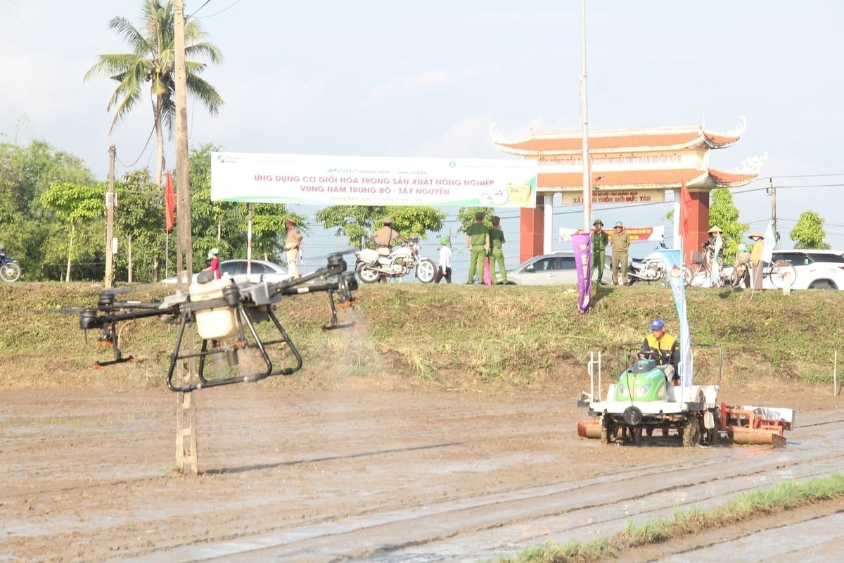কোয়াং এনগাইয়ের এলাকাগুলি উৎপাদনে বিজ্ঞান ও প্রযুক্তির প্রয়োগকে উৎসাহিত করেছে। ছবি: এল.কে. Các địa phương ở Quảng Ngãi đã đẩy mạnh ứng dụng khoa học công nghệ vào sản xuất. Ảnh: L.K.