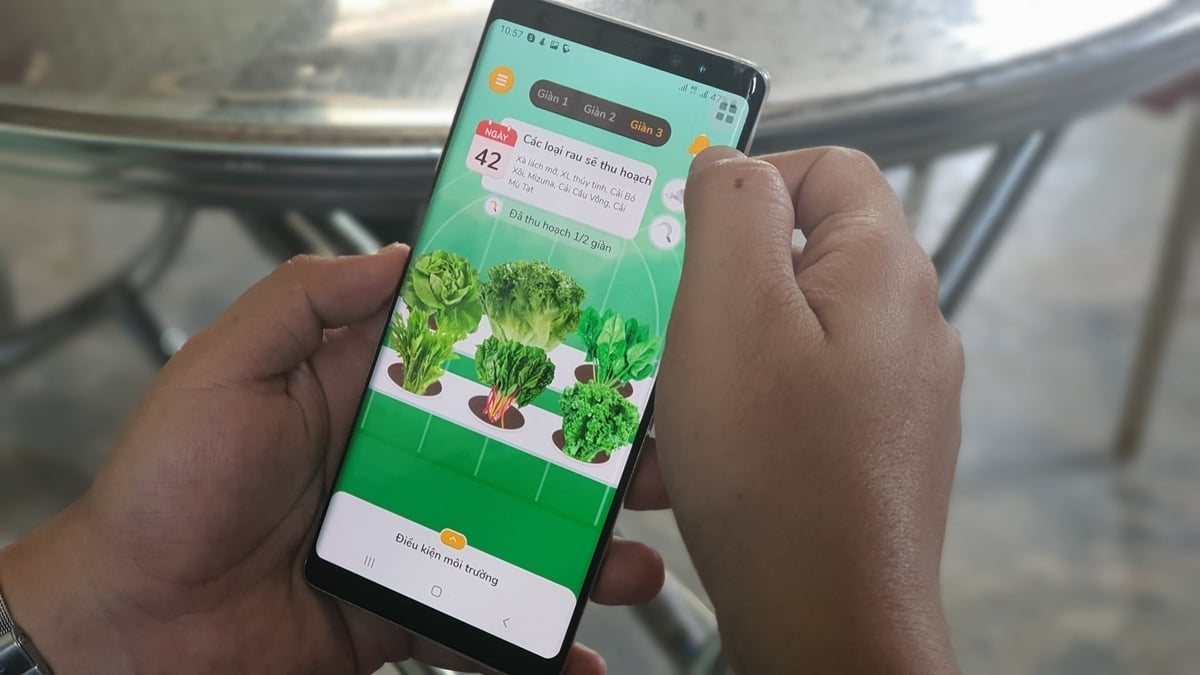 শুধুমাত্র একটি স্মার্টফোনের সাহায্যে আপনি কৃষি পণ্যের উৎপাদন এবং ব্যবহার পর্যবেক্ষণ করতে পারবেন। ছবি: এল.কে. Chỉ với chiếc điện thoại thông minh có thể giám sát các hoạt động sản xuất, tiêu thụ sản phẩm nông nghiệp. Ảnh: L.K.