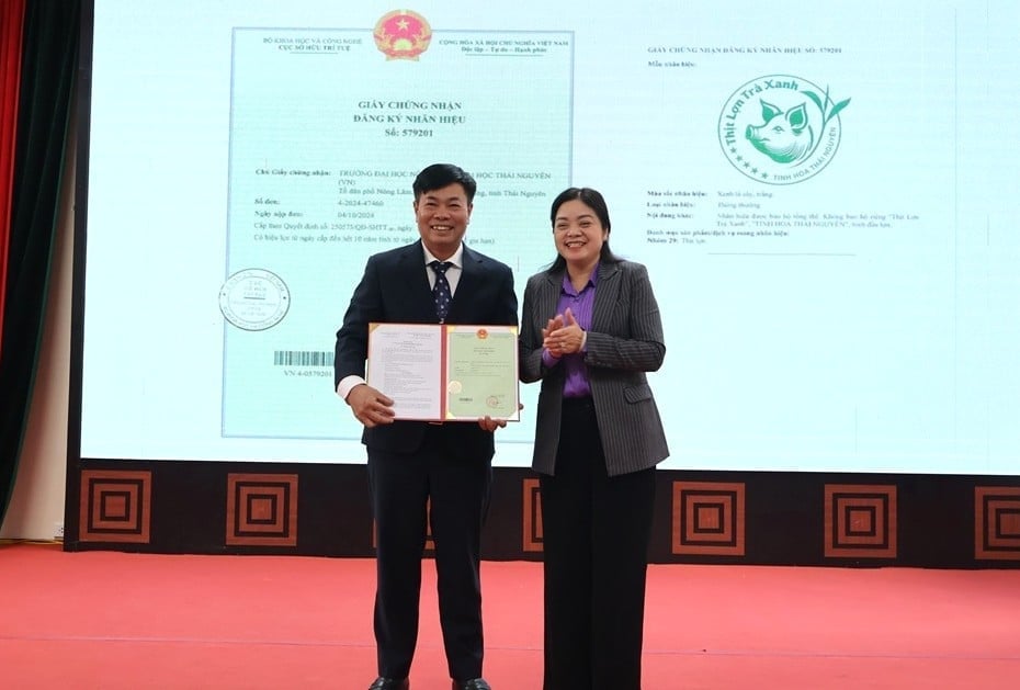 A Sra. Nguyen Thi Loan, Vice-Presidente do Comitê Popular da Província de Thai Nguyen, entregou o Certificado de Marca Registrada Bà Nguyễn Thị Loan, Phó Chủ tịch UBND tỉnh Thái Nguyên trao Giấy chứng nhận nhãn hiệu 'Thịt lợn trà xanh - Tinh hoa Thái Nguyên' cho Trường Đại học Nông Lâm Thái Nguyên. Ảnh: Quang Linh.