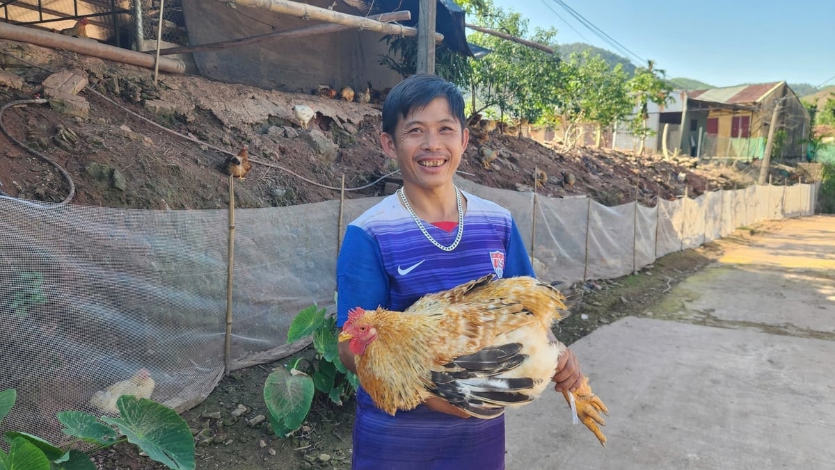 Gia đình anh Nguyễn Văn Nam có thu nhập 20 triệu/tháng nhờ chăn nuôi gà Tiên Yên. Ảnh: Nguyễn Thành.