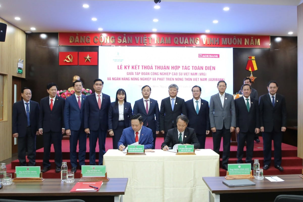 VRG și Agribank semnează un acord de cooperare cuprinzător, valorificându-și punctele forte combinate în vederea dezvoltării durabile. VRG và Agribank ký kết hợp tác toàn diện, phát huy sức mạnh tổng hợp hướng tới phát triển bền vững