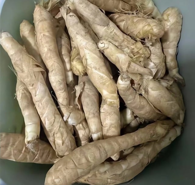 Este tubérculo, bom para a digestão e para o controle do açúcar no sangue, é facilmente encontrado nos mercados vietnamitas durante o inverno. Prepare-o desta forma para criar um prato delicioso e irresistível - Foto 2. Loại củ tốt cho tiêu hóa và đường huyết bán đầy chợ Việt mùa đông, làm kiểu này là có ngay món ngon “gây nghiện” - Ảnh 2.