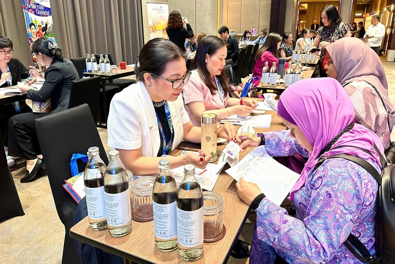 អាជីវកម្មទេសចរណ៍វៀតណាមធ្វើការជាមួយដៃគូម៉ាឡេស៊ី។