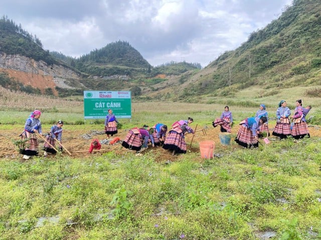 Ích Nhi kiên định phát triển nguồn dược liệu sạch chuẩn GACP-WHO- Ảnh 1.