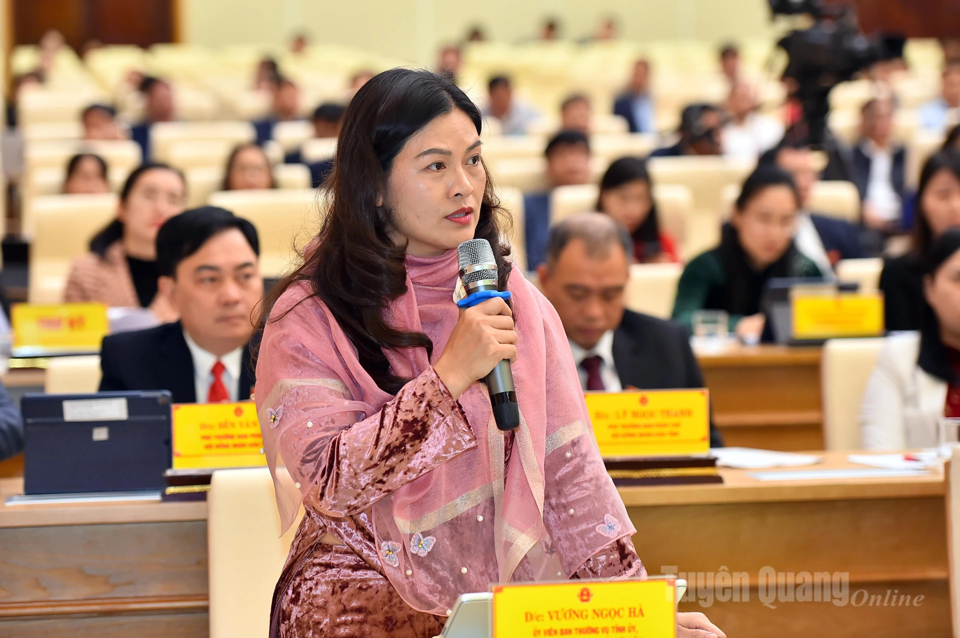 Kamrat Vuong Ngoc Ha, vice ordförande för provinsens folkkommitté, höll ett tal som svar på delegaternas kommentarer.