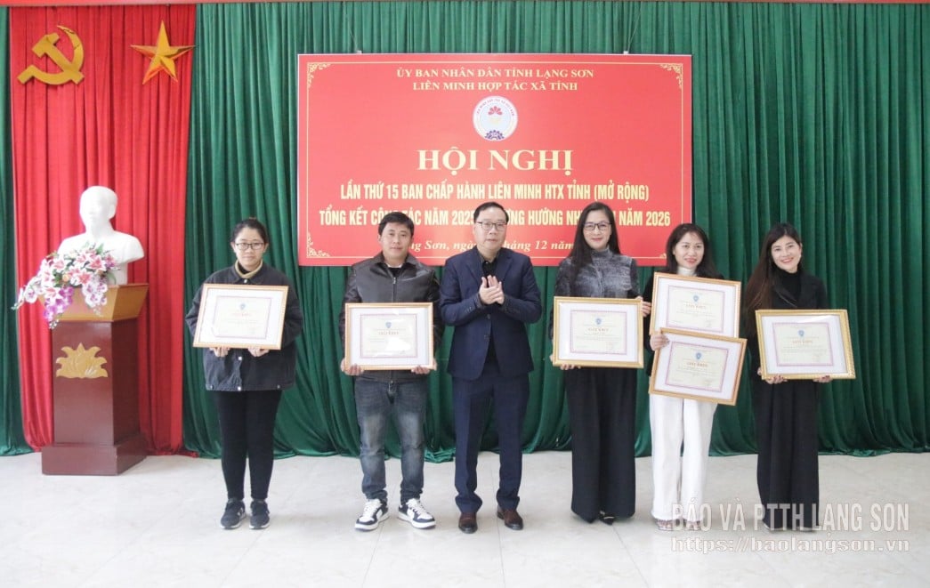 Pimpinan Serikat Koperasi Provinsi memberikan sertifikat penghargaan kepada perwakilan kolektif dan individu yang berprestasi.