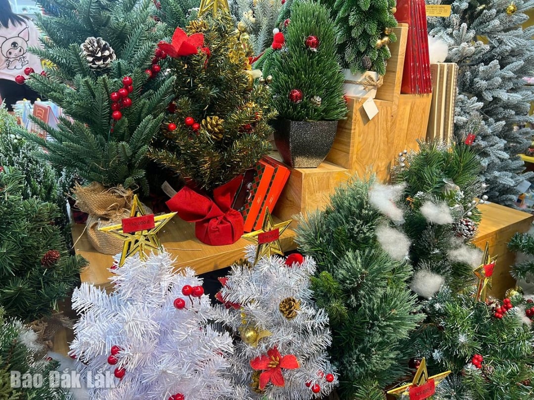 Árvores de Natal em miniatura, em diversas faixas de preço, estão expostas em vários pontos de venda.