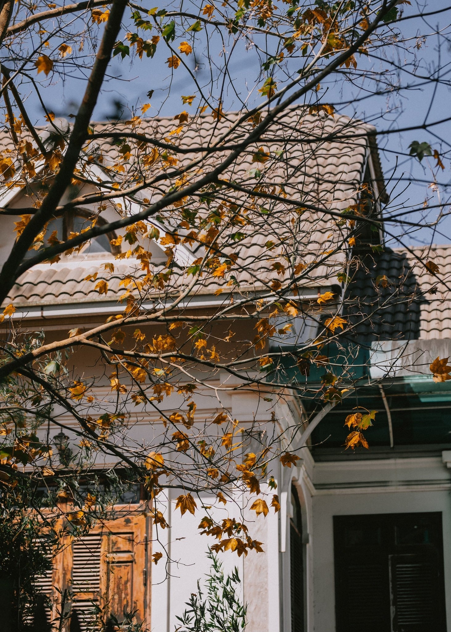 Đà Lạt ảnh 3 Da Lat anh 3